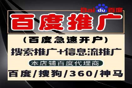 竞价广告的创意与执行：一则经典案例剖析